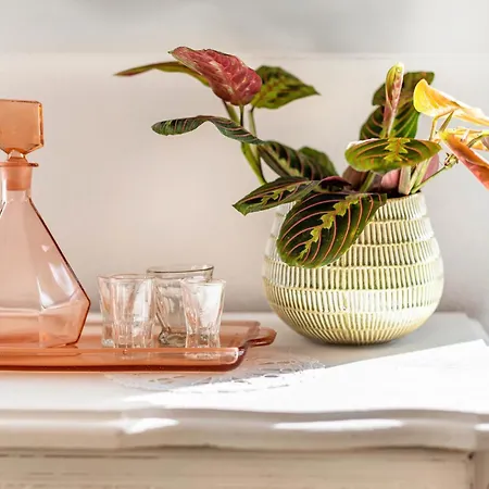 Gaestehaus - Im Gaertle 公寓